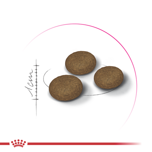 Сухий корм для котів Royal Canin FUSSY 400 г R475618 фото