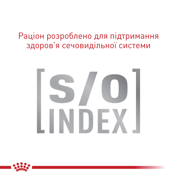 Сухий корм для котів Royal Canin FUSSY 400 г R475618 фото