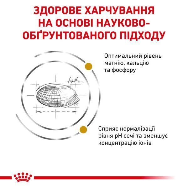 Сухий ветеринарний корм для котів Royal Canin Urinary S/O, 400 г 39010041 фото