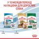 Упаковка вологого корму для цуценят ROYAL CANIN MINI PUPPY 0.085 кг x 12 шт.