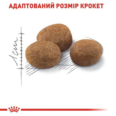 Сухий корм для дорослих стерилізованих котів ROYAL CANIN STERILISED 7+ 10 кг