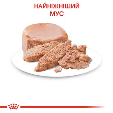 Вологий корм для новонароджених кошенят ROYAL CANIN MOTHER & BABYCAT Cans 0.195 кг