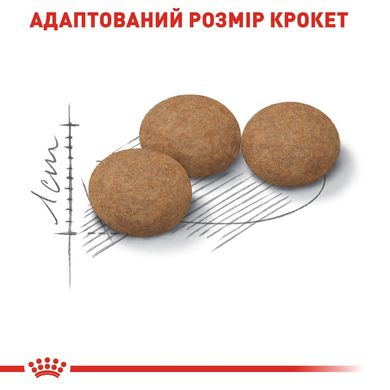 Сухий корм для дорослих стерилізованих котів ROYAL CANIN STERILISED 12 кг