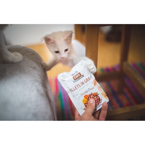 Вологий корм для котів Brit Care Вологий беззерновий Cat Fillets in Gravy Duck, Філе качки в соусі, 85 г 100529/0518 фото