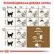 Сухий корм для дорослих стерилізованих котів ROYAL CANIN STERILISED 12 кг