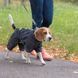 Одяг для собак Pet Fashion Комбінезон RAIN сірий XL PR242591 фото 4
