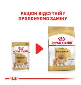 Упаковка вологого корму для собак ROYAL CANIN POMERANIAN ADULT паштет 12 шт по 85 г