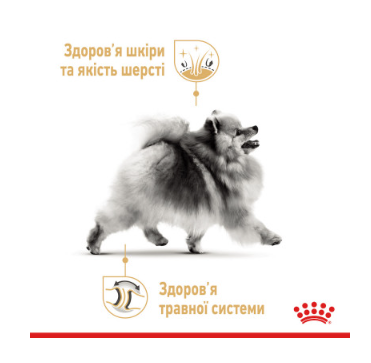 Упаковка вологого корму для собак ROYAL CANIN POMERANIAN ADULT паштет 12 шт по 85 г