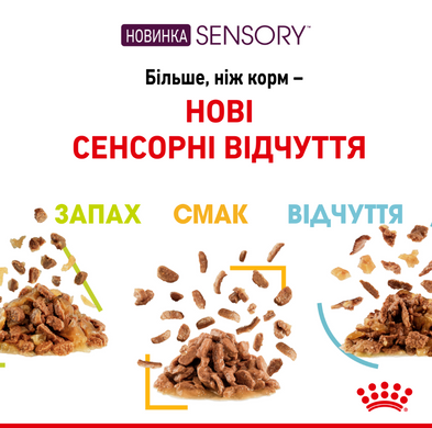 Упаковка вологого корму для дорослих котів ROYAL CANIN SENSORY SMELL GRAVY 12 шт. по 85 г