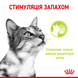 Упаковка вологого корму для дорослих котів ROYAL CANIN SENSORY SMELL GRAVY 12 шт. по 85 г