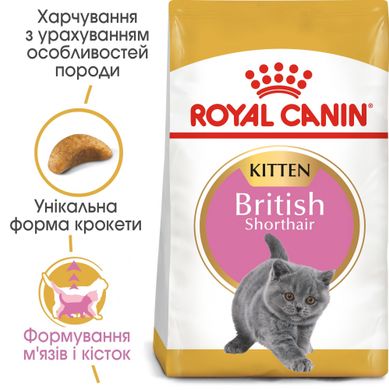 Сухий корм для кошенят ROYAL CANIN KITTEN BRITISH SHORTHAIR 2 кг