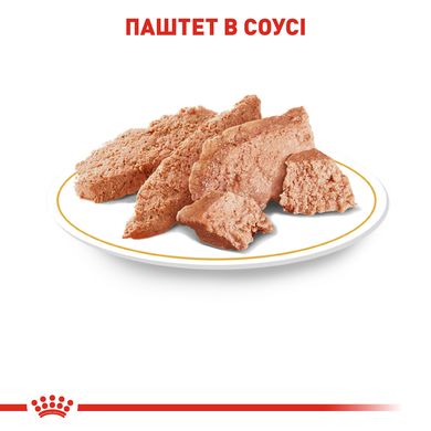 Упаковка вологого корму для дорослих собак ROYAL CANIN CHIHUAHUA ADULT 85 г x 12 шт.