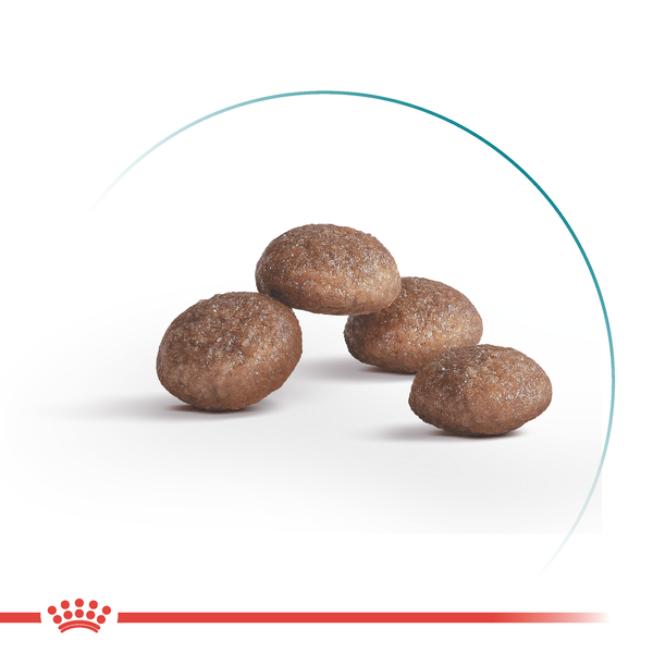 Сухий корм для котів Royal Canin STERILISED 11+ 400 г R475950 фото