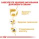 Упаковка вологого корму для дорослих собак ROYAL CANIN CHIHUAHUA ADULT 85 г x 12 шт.