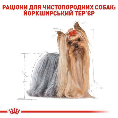 Упаковка вологого корму для дорослих собак ROYAL CANIN YORKSHIRE ADULT 85 г x 12 шт.