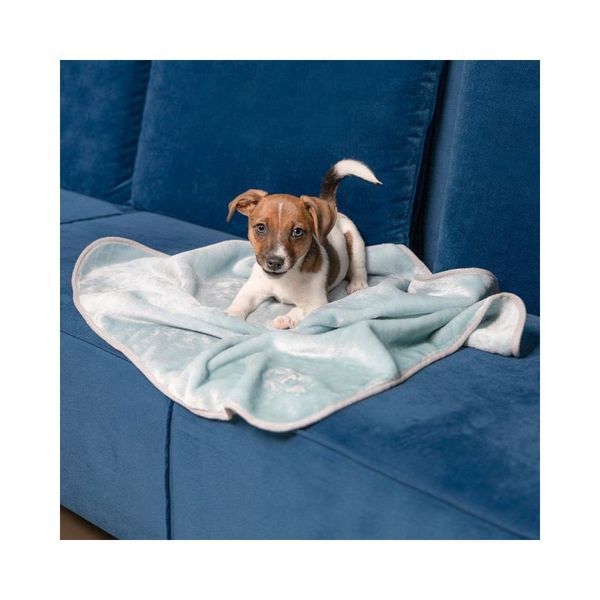 Pet Fashion Плед Bliss 1 та котів, м'ята, 77х60 см PR241904***** фото