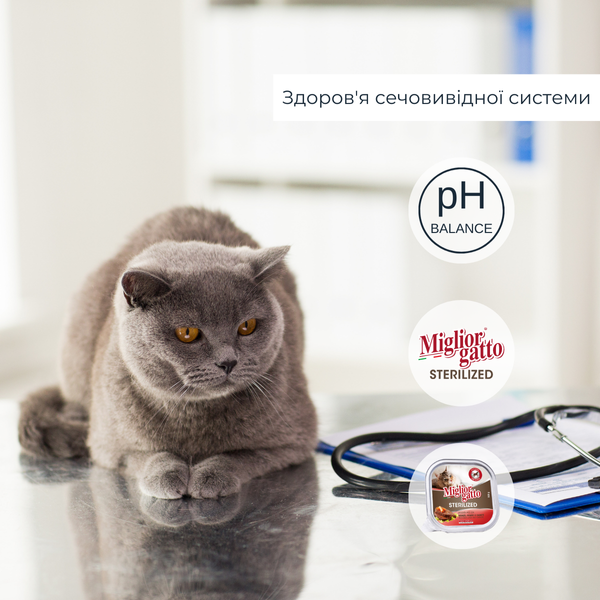 Беззернові консерви для стерилізованих котів Morando Miгliorгatto Sterilized з яловичиною печінкою та морквою 100 г 01453 фото