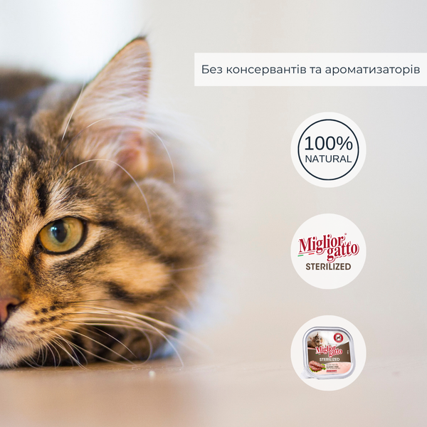 Консерви для стерилізованих котів Morando Miгliorгatto Sterilized з лососем та рисом 100 г 01454 фото