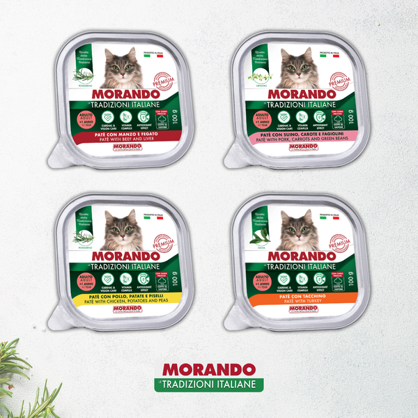 Беззернові консерви для котів Morando Tradizioni паштет з індичкою 100 g 02779 фото