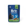 Вологий корм для котів Brit Premium для стерилізованих котів, Курка, павуч 100 г 100275 /506033 фото