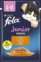 Упаковка вологого корм FELIX Fantastic Junior для кошенят шматочки в желе з куркою 26 шт. *85 г