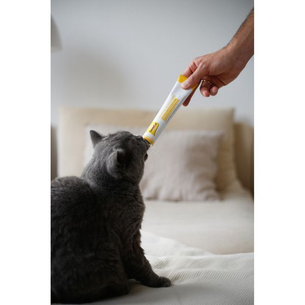 Вітаміни для котів GimCat Сирна паста Cheese Biotin Paste, з біотином, 100 г G-401010 фото