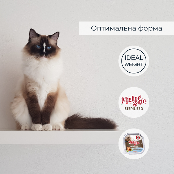 Беззернові консерви для стерилізованих котів Morando Miгliorгatto Sterilized з блакитною рибою та креветками 100 г 01455 фото