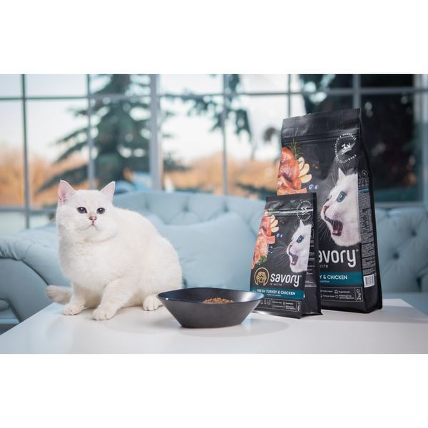 Сухий корм для котів Savory Холістик для кошенят Kitten, свіжа індичка та курка, 400 г 30136 фото