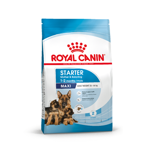 Сухий корм для цуценят Royal Canin MAXI STARTER 4 кг 29940400 фото
