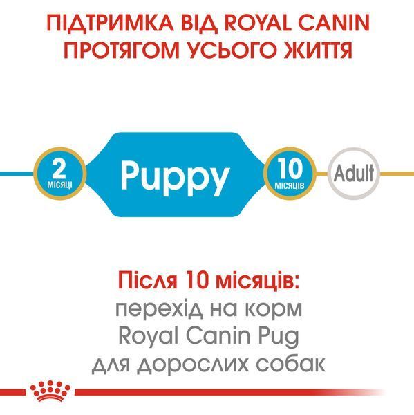 Сухий корм для цуценят Royal Canin PUG PUPPY 1,5 кг 41300151 фото
