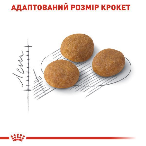 Сухий корм для котів Royal Canin EXIGENT AROMATIC 2 кг 2543020 фото