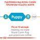 Сухий корм для цуценят Royal Canin PUG PUPPY 1,5 кг 41300151 фото 7