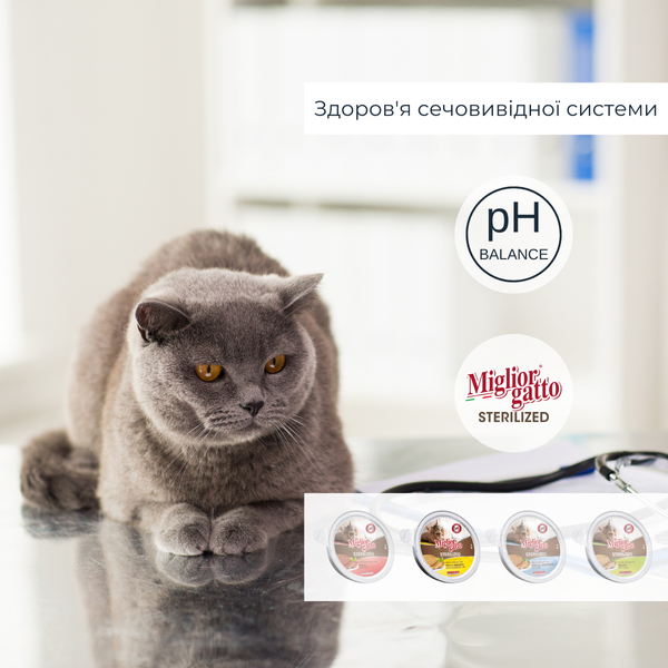 Беззернові консерви для стерилізованих котів Morando Miгliorгatto Sterilized мус з куркою та прошуто 85 г 01460 фото