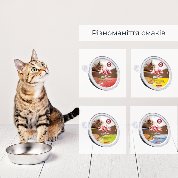 Беззернові консерви для стерилізованих котів Morando Miгliorгatto Sterilized мус з куркою та прошуто 85 г 01460 фото