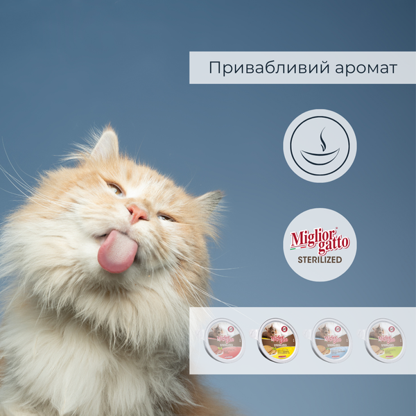 Беззернові консерви для стерилізованих котів Morando Miгliorгatto Sterilized мус з куркою та прошуто 85 г 01460 фото