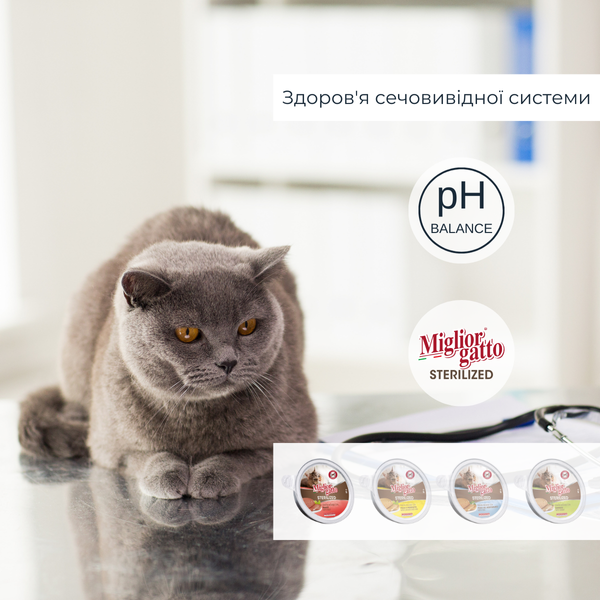Беззернові консерви для стерилізованих котів Morando Miгliorгatto Sterilized мус з телятиною 85 г 01461 фото