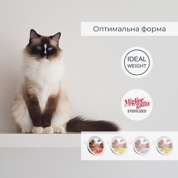 Беззернові консерви для стерилізованих котів Morando Miгliorгatto Sterilized мус з телятиною 85 г 01461 фото