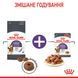 Сухий корм для котів Royal Canin APPETITE CONTROL 2 кг 25630209 фото 5