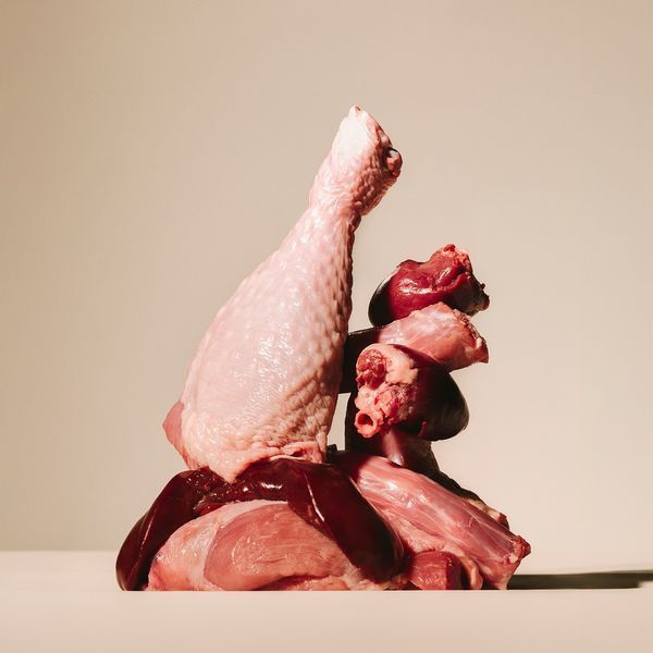 Корм вологий Carnilove Turkey & Reindeer & Wildboar для собак паштет індичка, оленина і дикий кабан 400 г 101387 фото