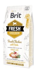 Сухий корм для собак Brit Fresh Chicken/Potato Adult курка, картопля 2,5 кг