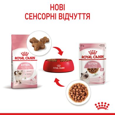 Упаковка вологого корму для кошенят ROYAL CANIN KITTEN IN GRAVY 85 г x 12 шт.