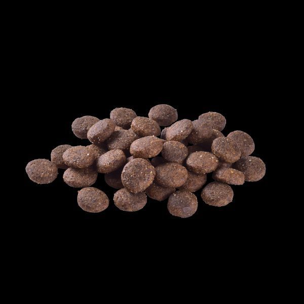 Сухий корм для собак Brit Care Беззерновий для юніорів великих порід Grain Free Junior Large Breed Salmon & Potato, Лосось та Картопля, 3 кг 172199 фото