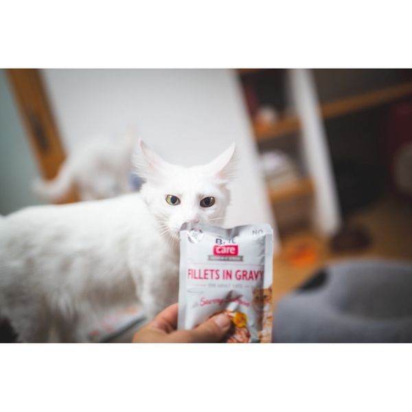 Вологий корм для котів Brit Care Вологий беззерновий Cat Fillets in Gravy Savoury Salmon, Пікантний лосось, 85 г 100530/0525 фото