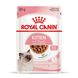 Упаковка вологого корму для кошенят ROYAL CANIN KITTEN IN GRAVY 85 г x 12 шт.