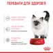 Упаковка вологого корму для кошенят ROYAL CANIN KITTEN IN GRAVY 85 г x 12 шт.