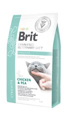 Сухий корм для кішок Brit GF Veterinary Diets Cat Struvite 2 кг