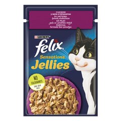 Упаковка вологого корму для дорослих котів FELIX Sensations Jellies шматочки в желе з качкою та шпинатом 26 шт. *85 г