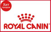 Royal Canin