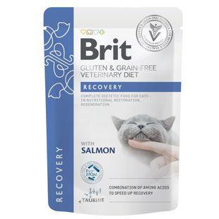 Вологий ветеринарний корм Brit Veterinary Diet Recovery, Лосось, 85 г 101116_1***** фото