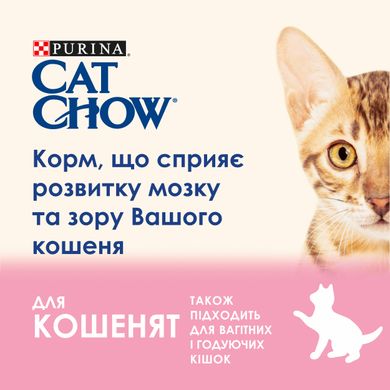 Сухий корм CAT CHOW Kitten для кошенят з куркою 15 кг